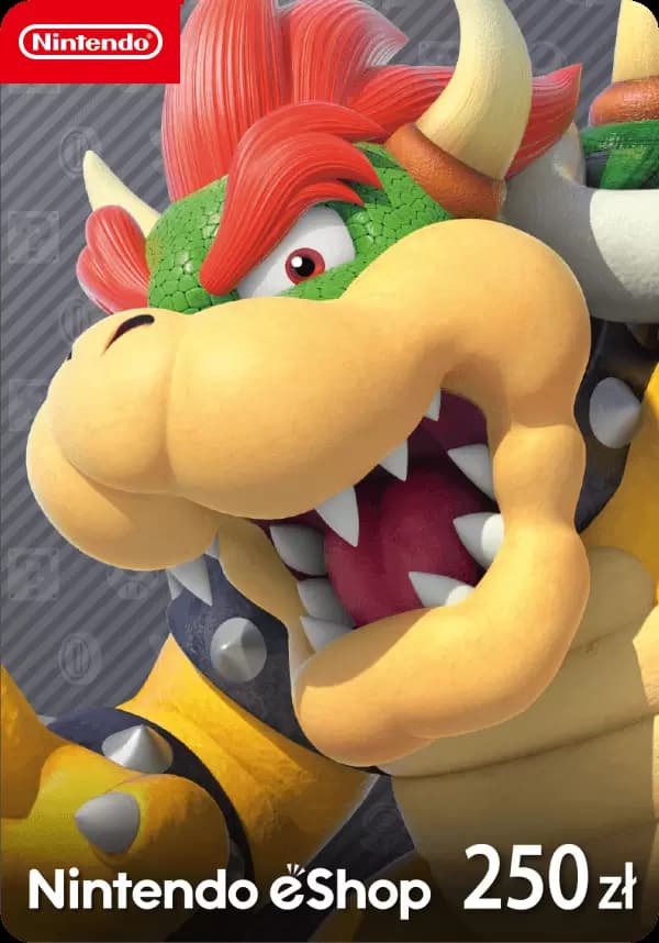 Nintendo eShop Card 250zl