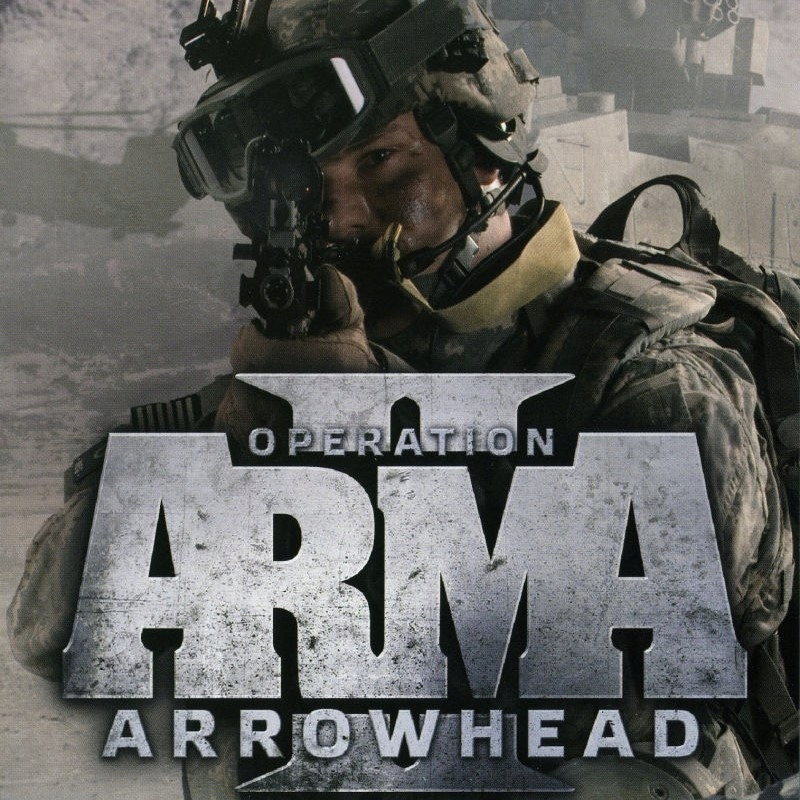 Купить Arma 2