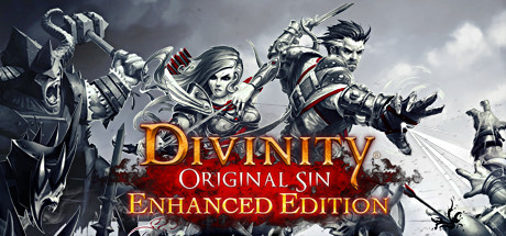 Купить Divinity Original Sin Collector´s Edition