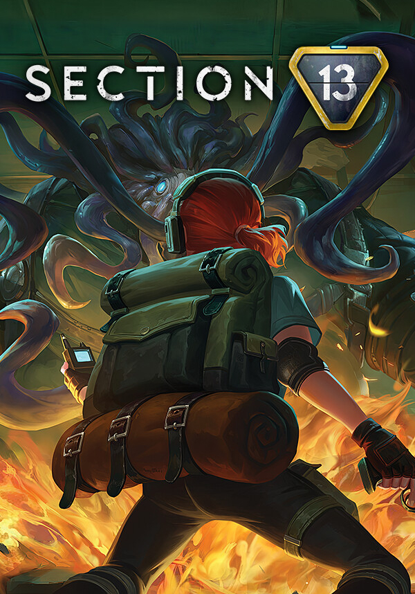 Section 13